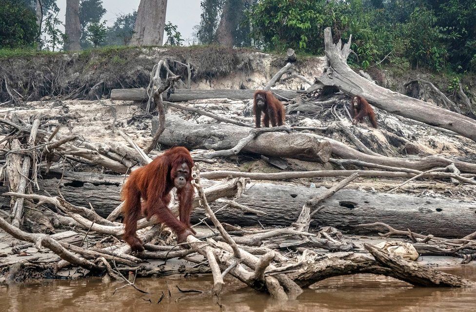 Loss and damage fund ; ධනවත් රටවල් දුප්පත් රටවල ස්වභාවධර්මයට සිදු කරන අලාභ හානි සඳහා වන්දි ගෙවිය යුතු ද ?