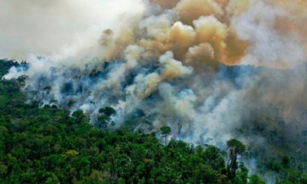 ඉඩම් භාවිතය ලොව පුරා CO2 විමෝචනය මෙහෙයවන ආකාරය