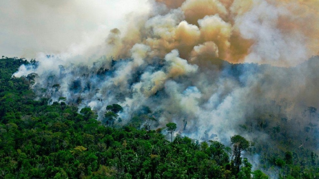 ඉඩම් භාවිතය ලොව පුරා CO2 විමෝචනය මෙහෙයවන ආකාරය