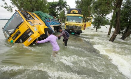 ගෝලීය උණුසුම ඉහළ යාමේ තවත් බිහිසුණු ප්‍රතිවිපාකයක් ගැන හෙළිදරව්ව