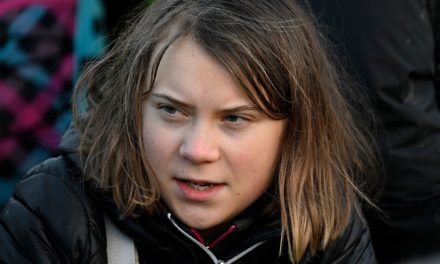 Greta Thunberg: ‘අපි ස්වභාවික දේශගුණික විසඳුම් නොසලකා හරිනවා’