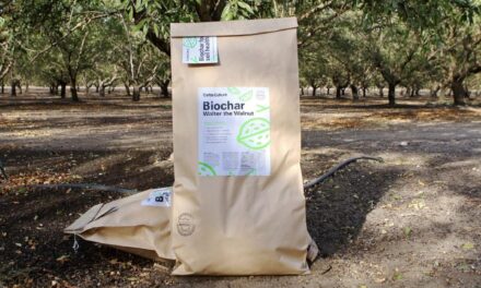 ජෛව අඟුරු වල / Biochar විස්මිත පාරිසරික ප්‍රතිලාභ