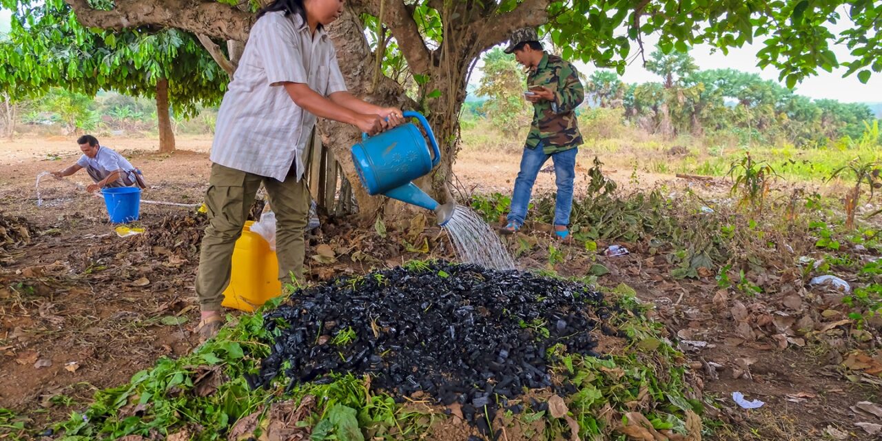 Biochar: පාංශු ආම්ලිකතාවය පාලනය කිරීමේ ක්‍රීඩාව වෙනස් කරයිද ?