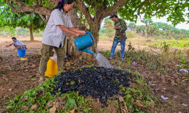 Biochar: පාංශු ආම්ලිකතාවය පාලනය කිරීමේ ක්‍රීඩාව වෙනස් කරයිද ?