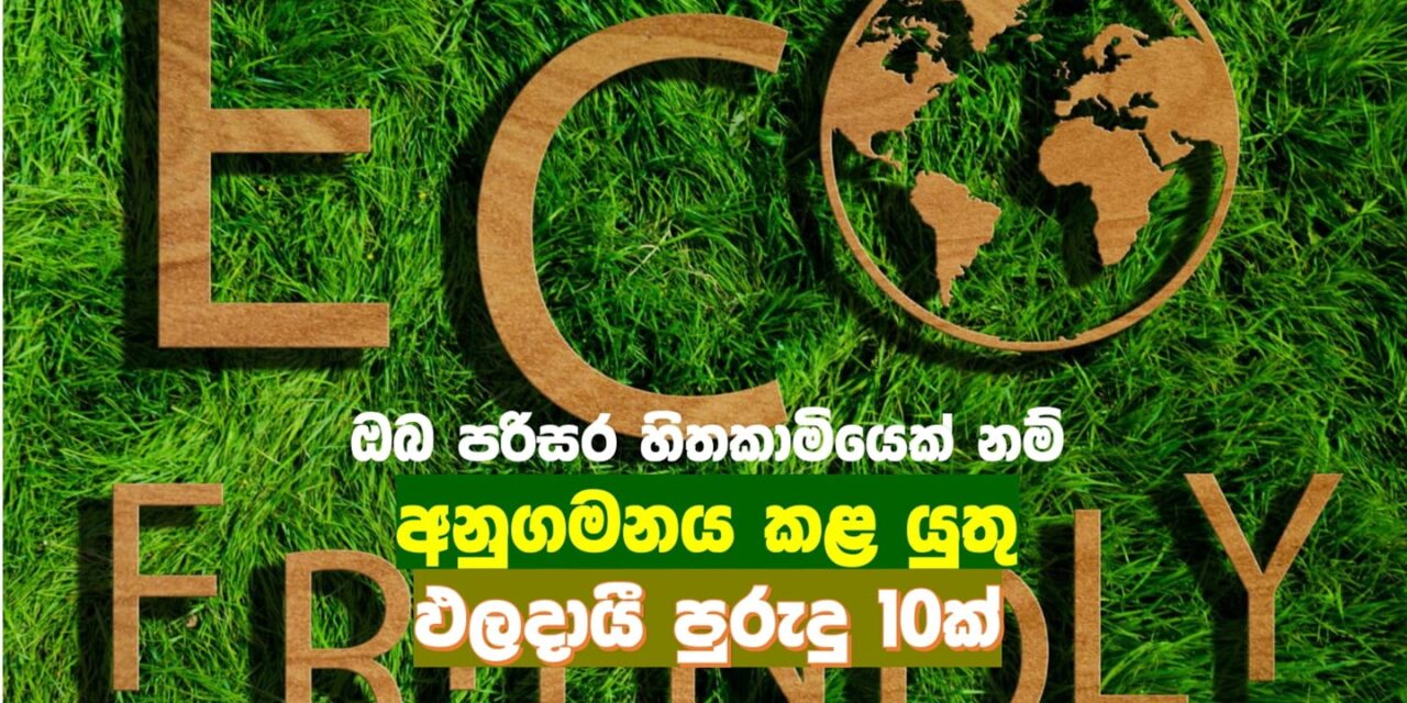 ඔබ පරිසර හිතකාමියෙක් නම් අනුගමනය කළ යුතු ඵලදායී පුරුදු 10ක්