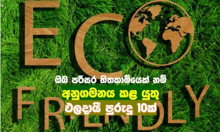 ඔබ පරිසර හිතකාමියෙක් නම් අනුගමනය කළ යුතු ඵලදායී පුරුදු 10ක්